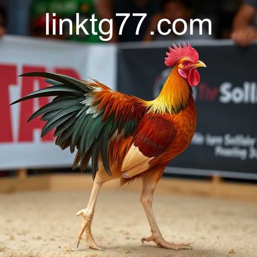 TG77